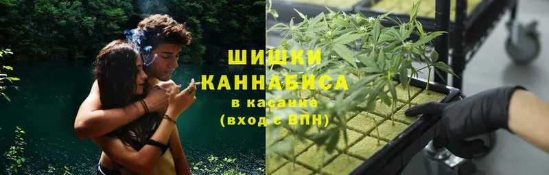 MEGA ссылки  Касли  Бошки Шишки индика  цена  